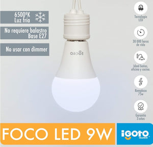 iGoto F10P-10109 Pack de 10 Focos Led A60, 9W Luz Fría