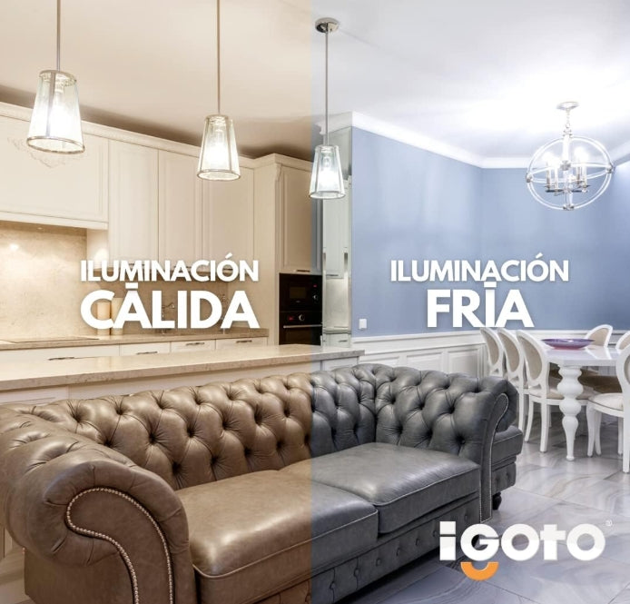iGoto F10P-10109 Pack de 10 Focos Led A60, 9W Luz Fría